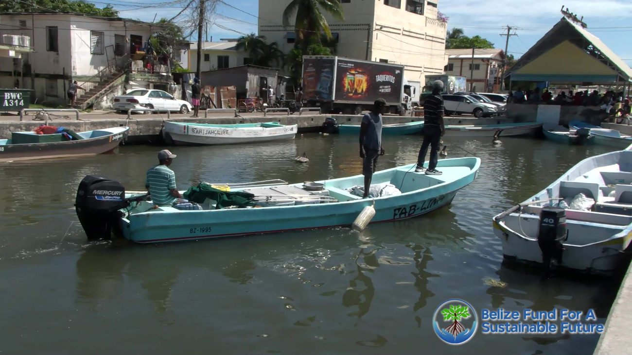 Behind the Catch: How Belize’s Seafood Reaches Your Plate  