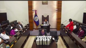 Panton Claims Senator Pitts Silenced in Budget Debate