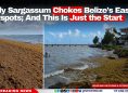 Early Sargassum Chokes Belize’s Easter Hotspots; And This Is Just the Start