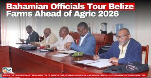Bahamian Officials Tour Belize Farms Ahead of Agric 2026