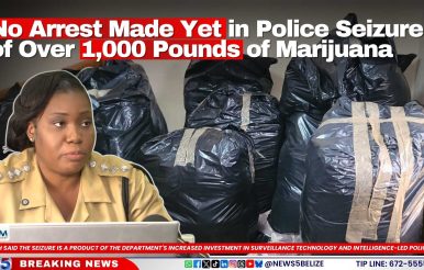 No Arrest Made Yet in Police Seizure of Over 1,000 Pounds of Marijuana