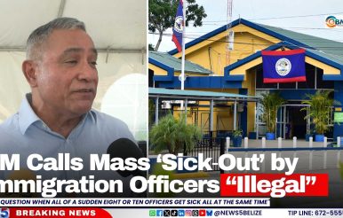 PM Calls Mass ‘Sick‑Out’ by Immigration Officers “Illegal”