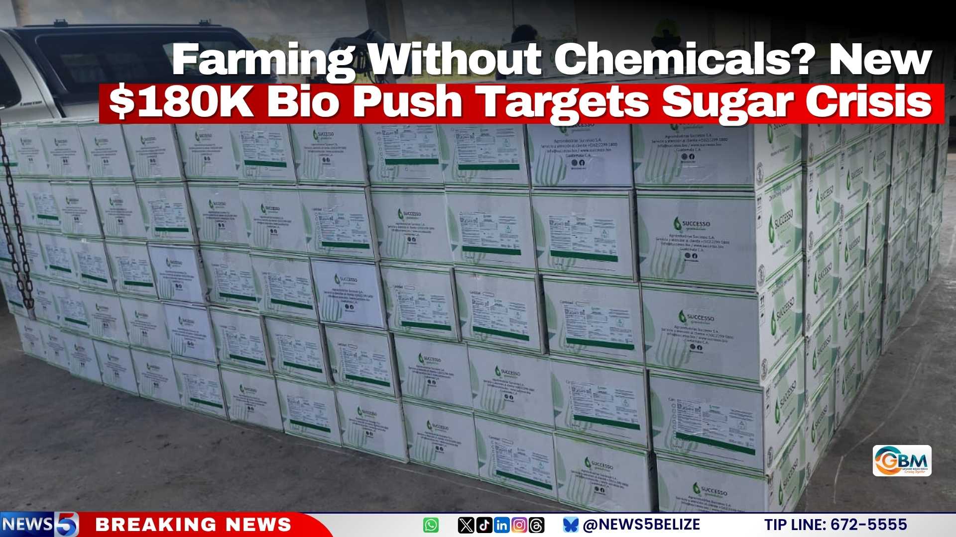 Farming Without Chemicals? New $180K Bio Push Targets Sugar Crisis