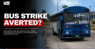 Bus Strike Averted?