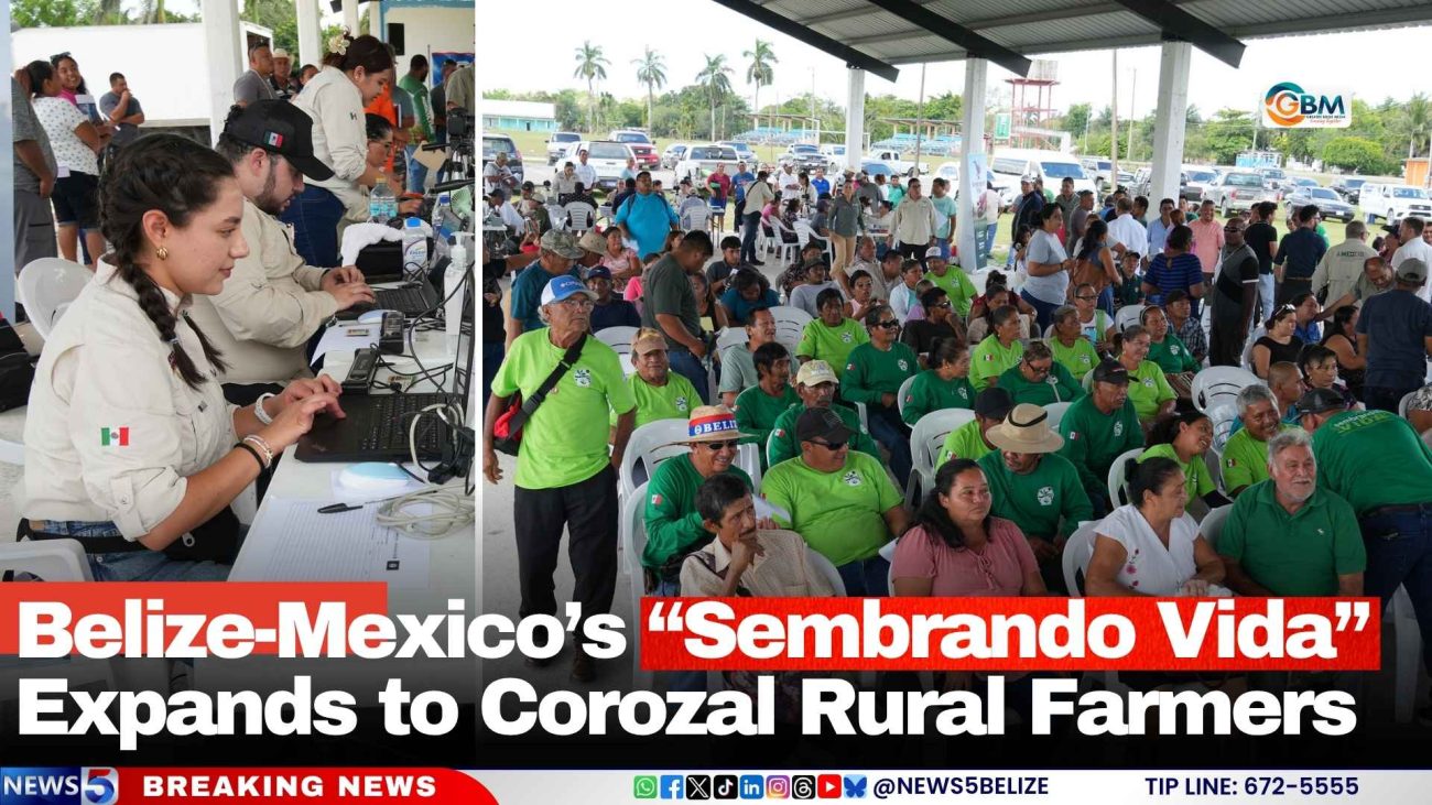 Belize-Mexico’s “Sembrando Vida” Expands to Corozal Rural Farmers