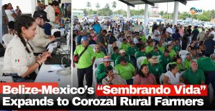 Belize-Mexico’s “Sembrando Vida” Expands to Corozal Rural Farmers