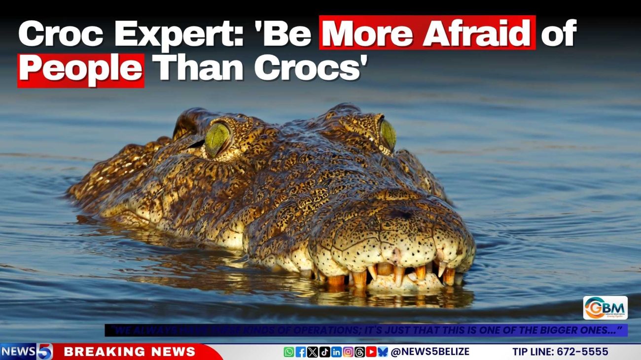 Croc Expert: 'Be More Afraid of People Than Crocs'
