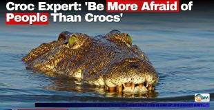 Croc Expert: 'Be More Afraid of People Than Crocs'