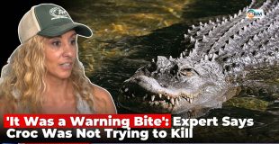 'It Was a Warning Bite': Expert Says Croc Was Not Trying to Kill