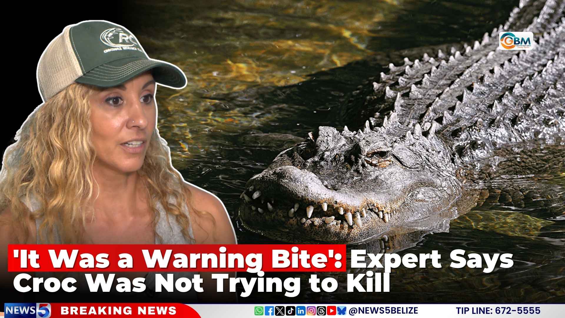 'It Was a Warning Bite': Expert Says Croc Was Not Trying to Kill