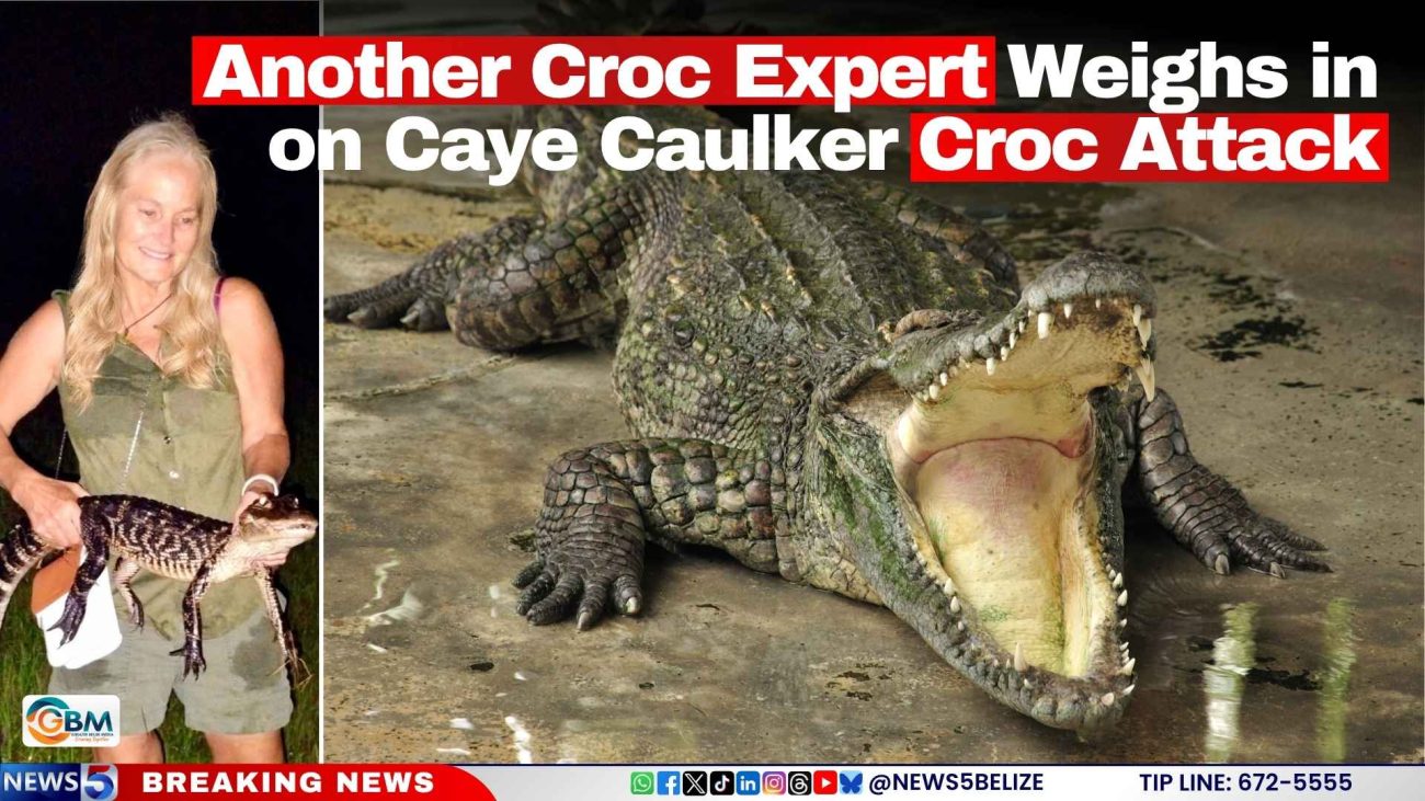Another Croc Expert Weighs in on Caye Caulker Croc Attack