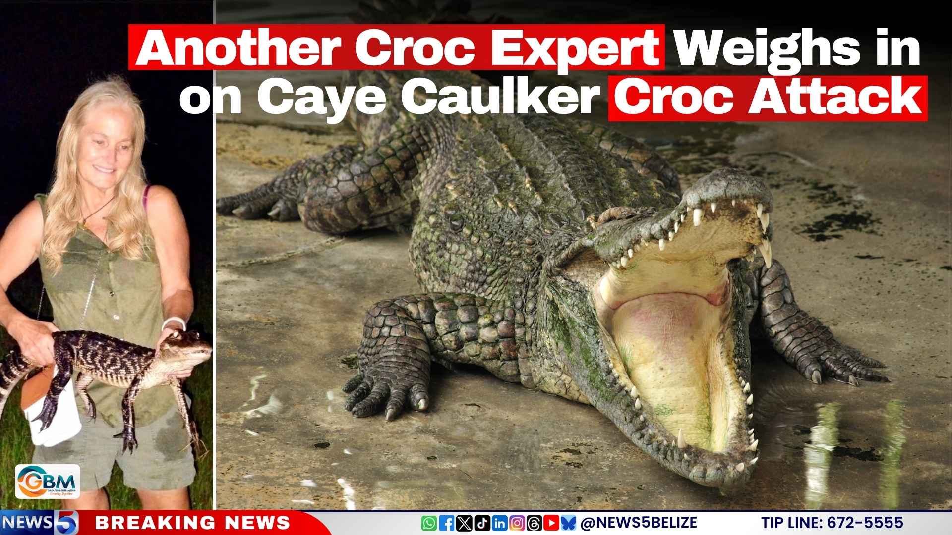 Another Croc Expert Weighs in on Caye Caulker Croc Attack