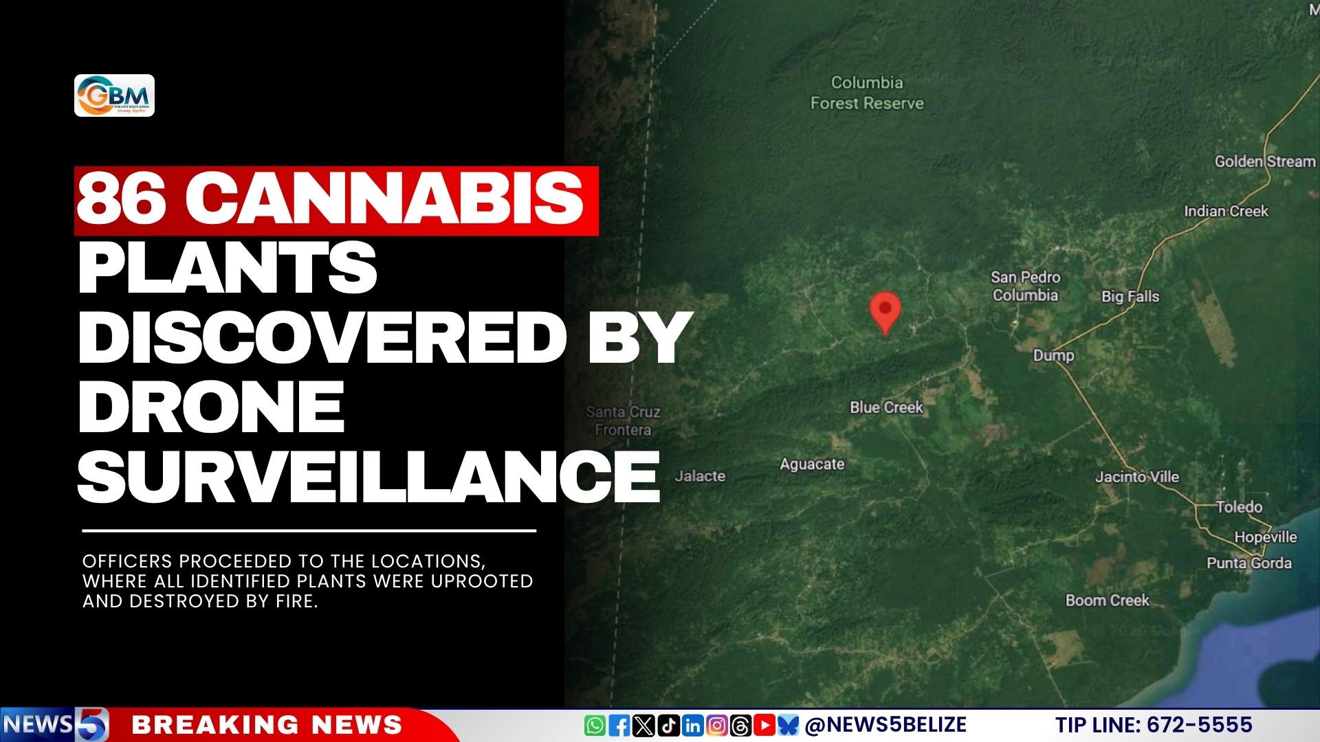 Police Destroy 86 Cannabis Plants Discovered by Drone Surveillance