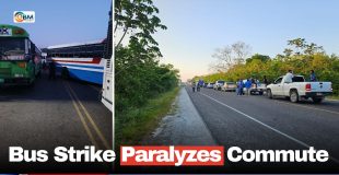 Bus Strike Paralyzes Commute