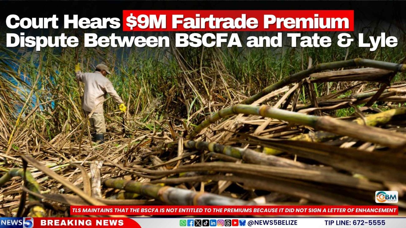 Court Hears $9M Fairtrade Premium Dispute Between BSCFA and Tate & Lyle