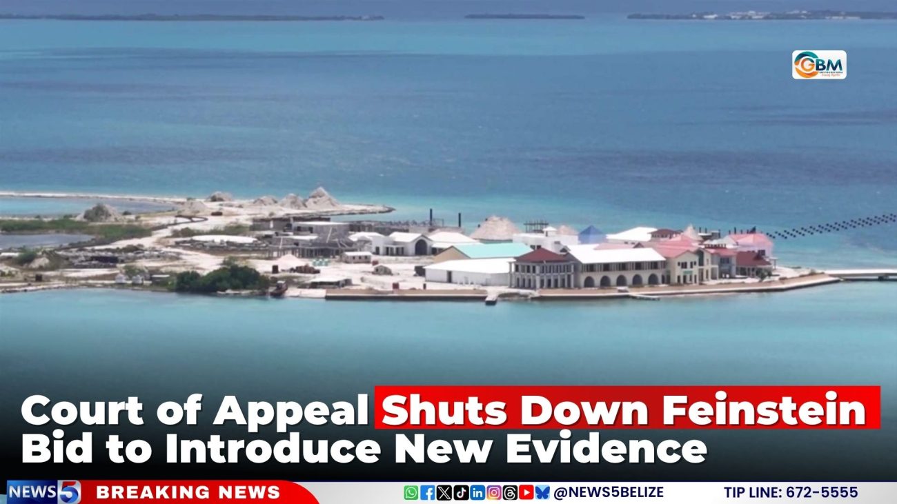 Court of Appeal Shuts Down Feinstein Bid to Introduce New Evidence