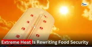 Extreme Heat Is Rewriting Food Security