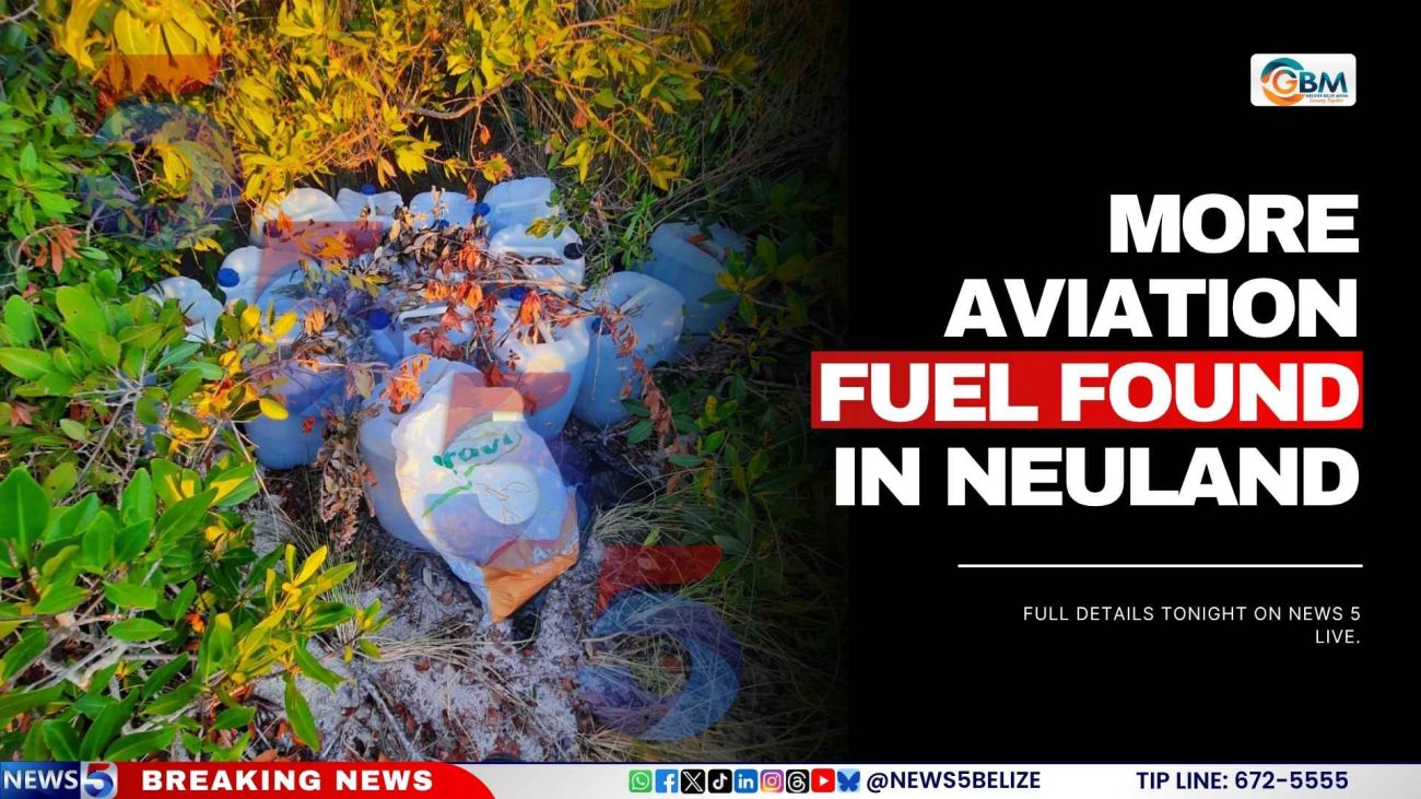 More Aviation Fuel Found in Neuland
