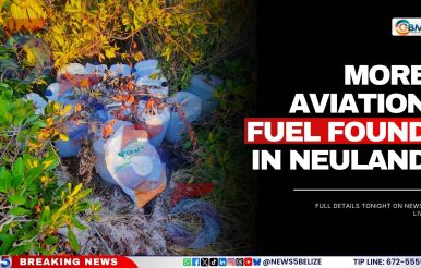 More Aviation Fuel Found in Neuland