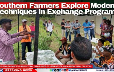 Southern Farmers Explore Modern Techniques in Exchange Program