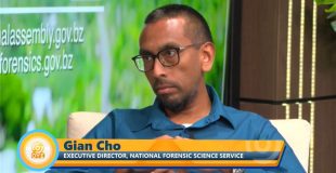 Strengthening Justice Through Science: Understanding the Forensic DNA Bill in Belize