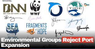 Environmental Groups Reject Port Expansion