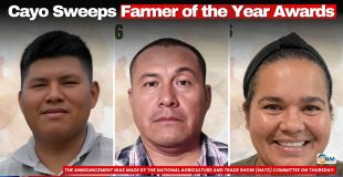 Cayo Sweeps Farmer of the Year Awards