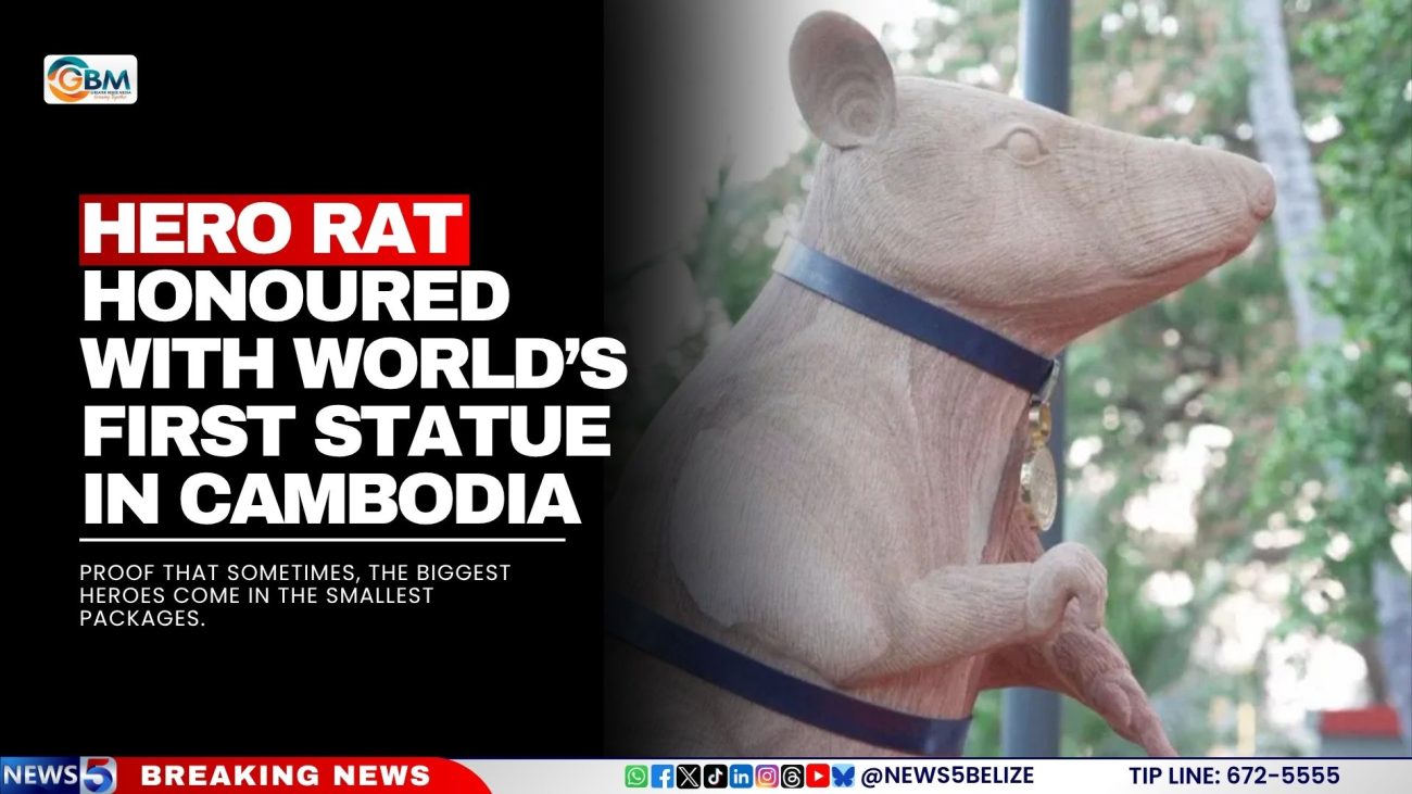 Hero Rat Honoured with World’s First Statue in Cambodia