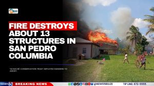 Fire Destroys About 13 Structures in San Pedro Columbia