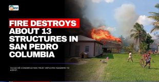 Fire Destroys About 13 Structures in San Pedro Columbia