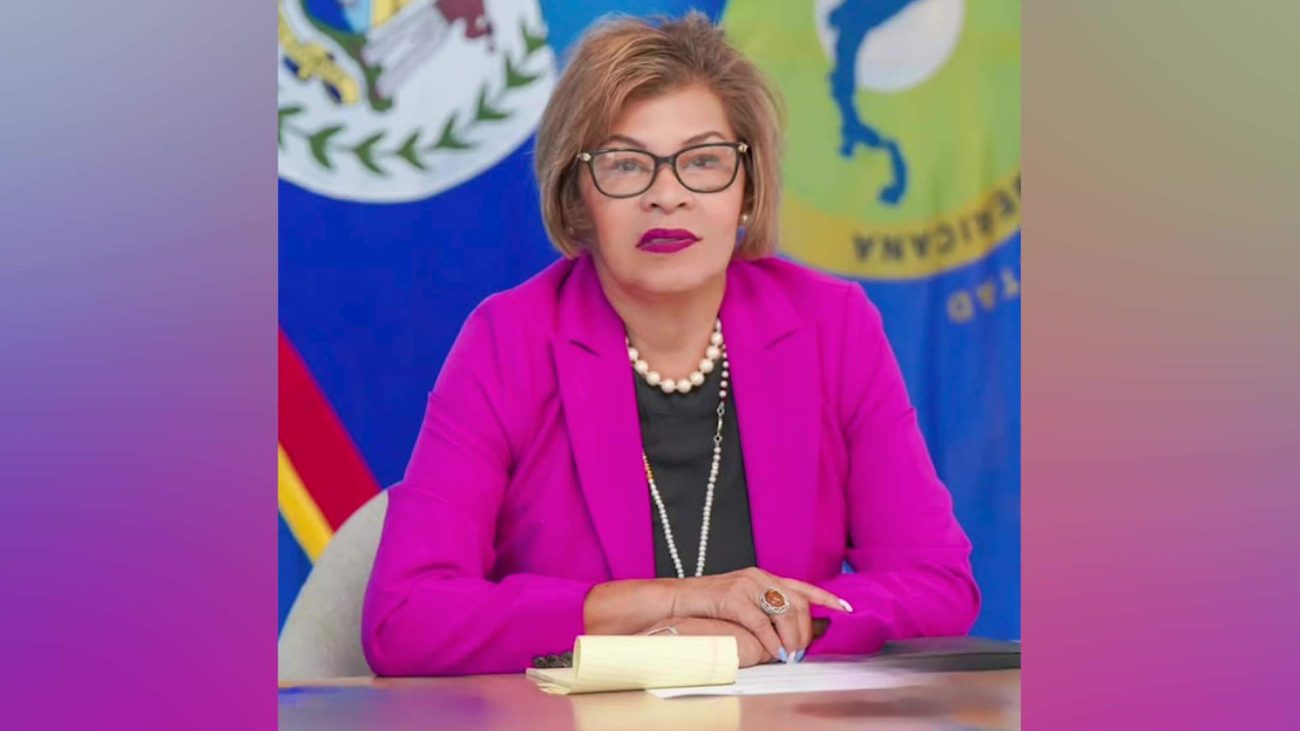 Fonseca Sidesteps CEO Question, Says PM Has Final Say