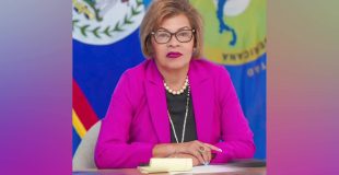 Fonseca Sidesteps CEO Question, Says PM Has Final Say