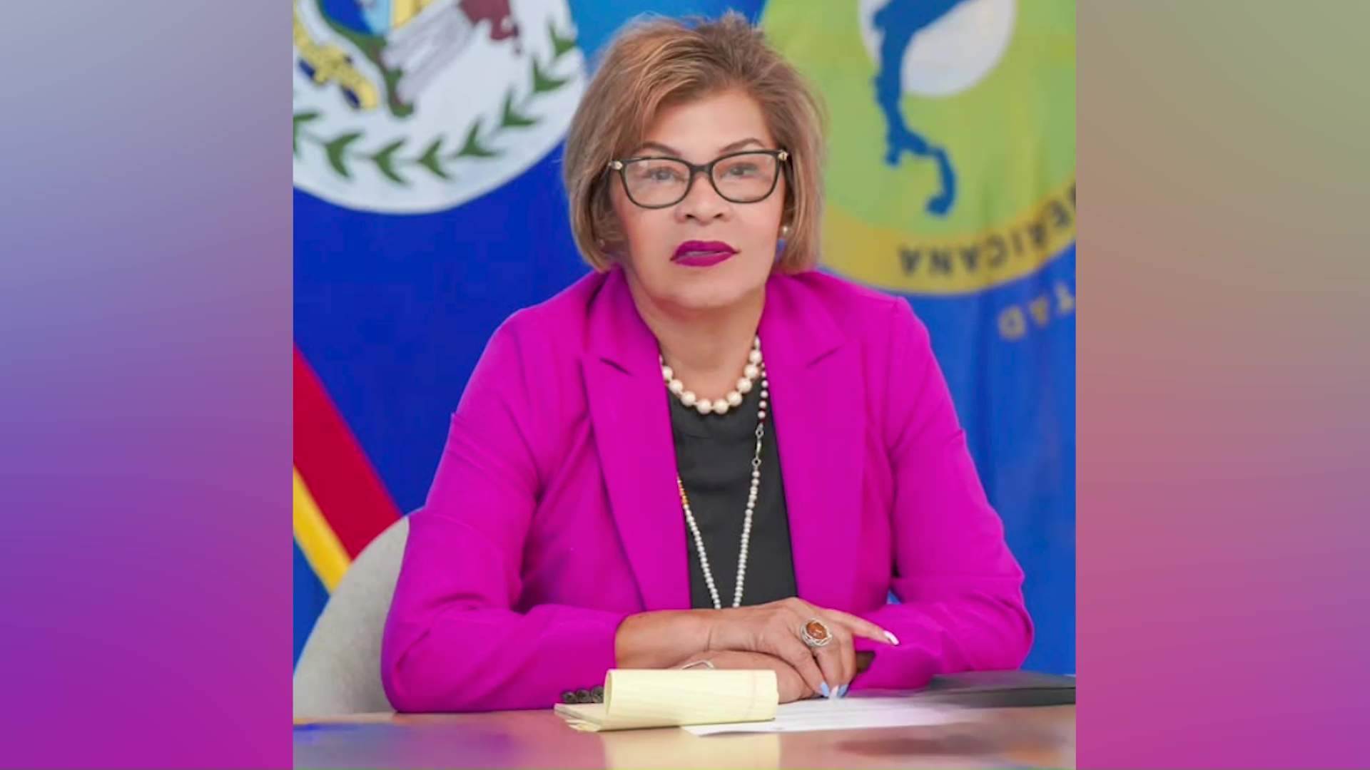 Fonseca Sidesteps CEO Question, Says PM Has Final Say