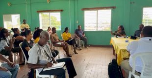 Market Makeover Raises Fears for Dangriga’s Streetside Vendors