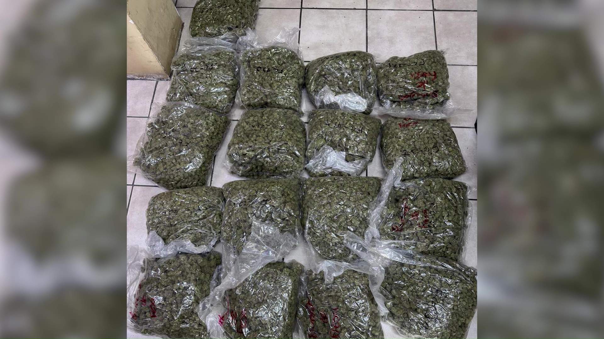 Shock and Fear After Massive Drug Bust Hits Lord’s Bank