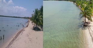 Placencia’s Shoreline Slips Away as Erosion Crisis Intensifies