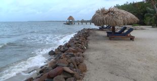 Experts Warn, Development is Driving Placencia’s Beach Erosion
