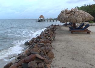 Experts Warn, Development is Driving Placencia’s Beach Erosion