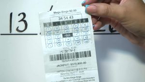 Voice of: Mega Bingo Winner