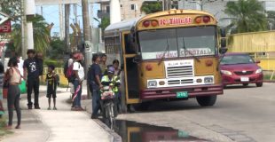 Zabaneh Rejects Immediate Relief for Bus Operators