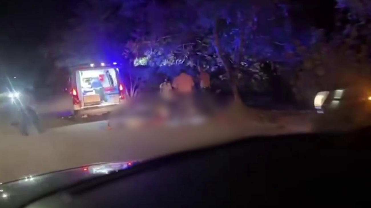 Late‑Night Ride Turns Fatal in Punta Gorda