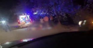 Late‑Night Ride Turns Fatal in Punta Gorda
