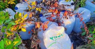 More Aviation Fuel Found Near Drug Plane Landing Site