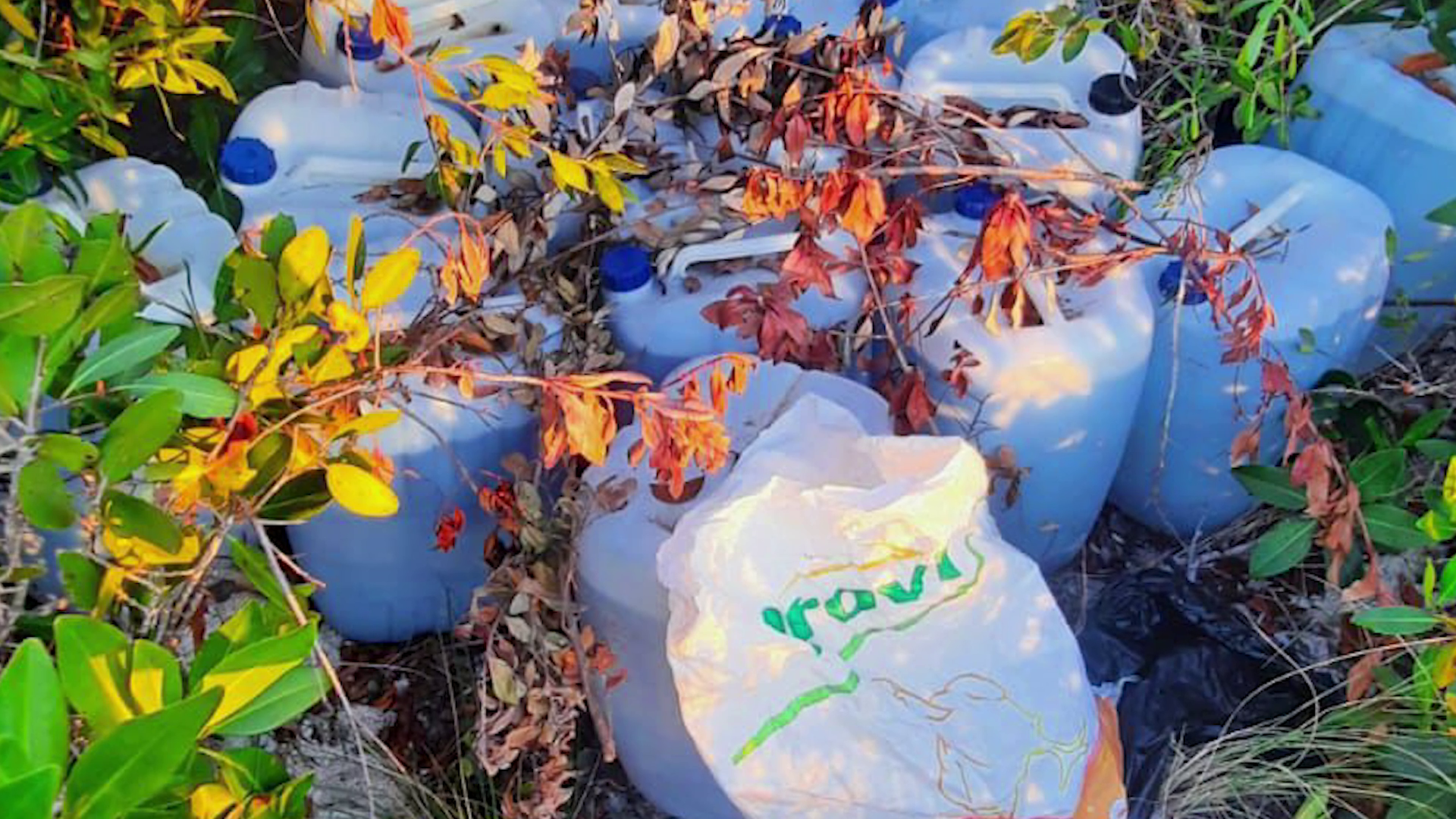 More Aviation Fuel Found Near Drug Plane Landing Site