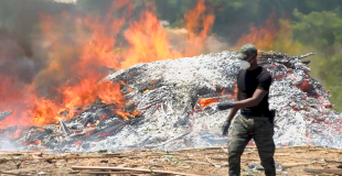 $13 Million in Drugs Go Up in Smoke in Massive Police Operation