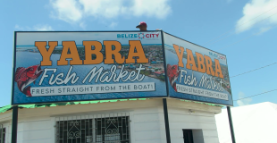 Yabra Fishermen Reel in a Win with New City Market