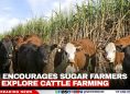 PM Encourages Sugar Farmers to Explore Cattle Farming