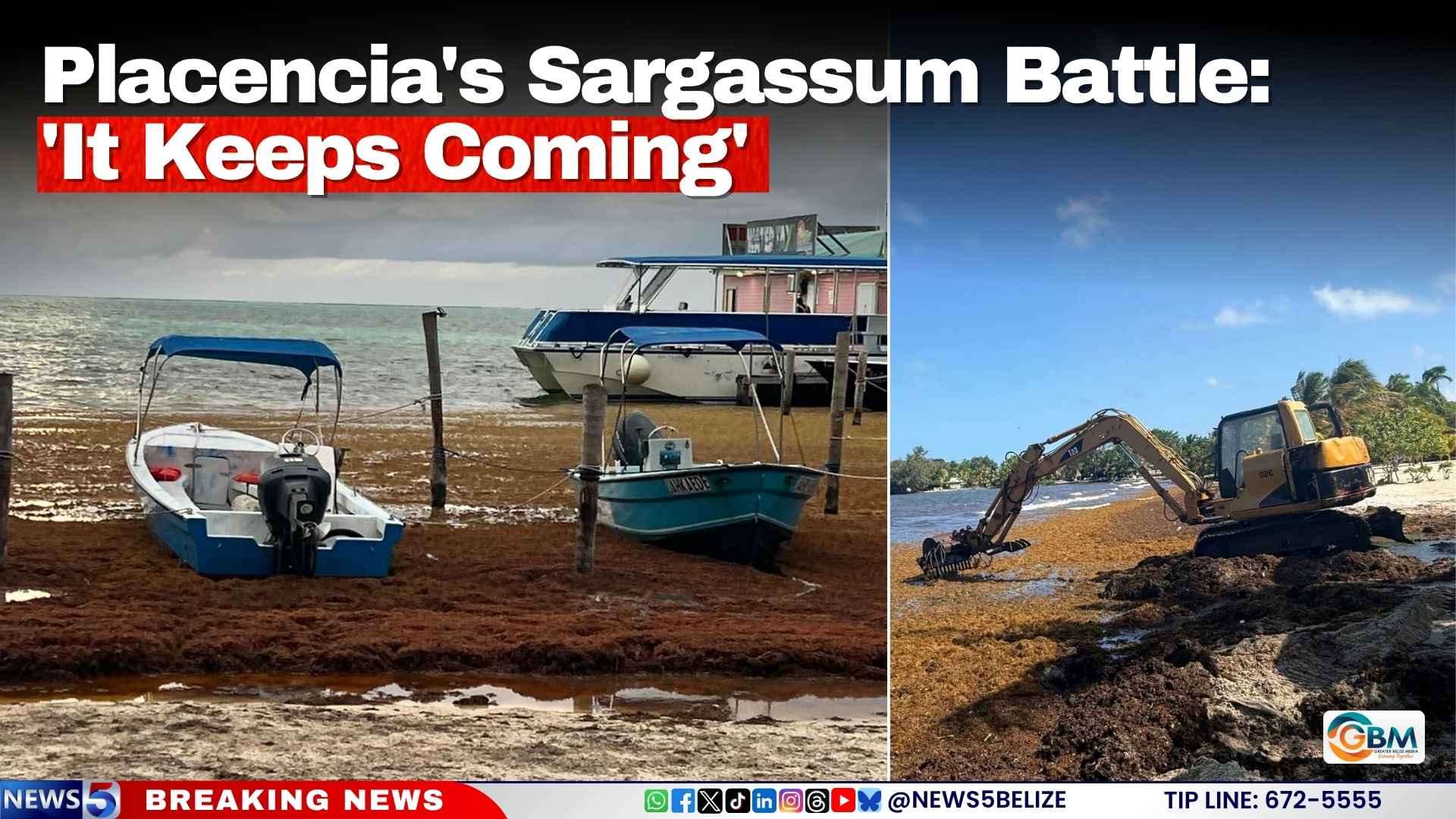 Placencia's Sargassum Battle: 'It Keeps Coming'