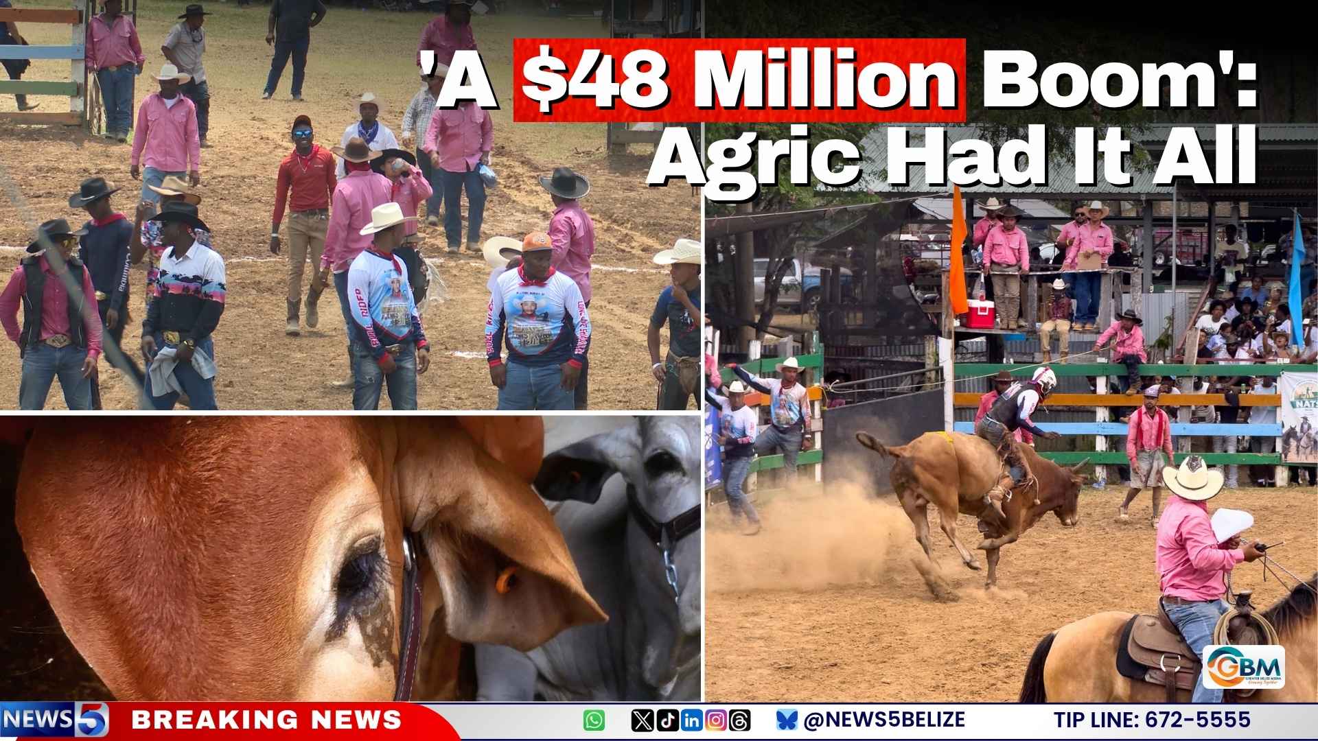 'A $48 Million Boom': Agric Had It All
