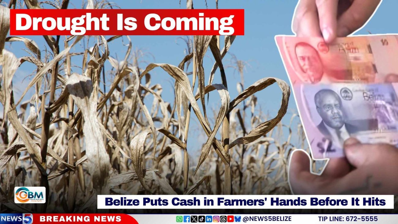 Drought Is Coming; Belize Puts Cash in Farmers' Hands Before It Hits